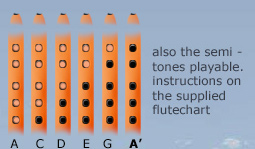 tabulator