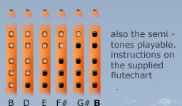 tabulator